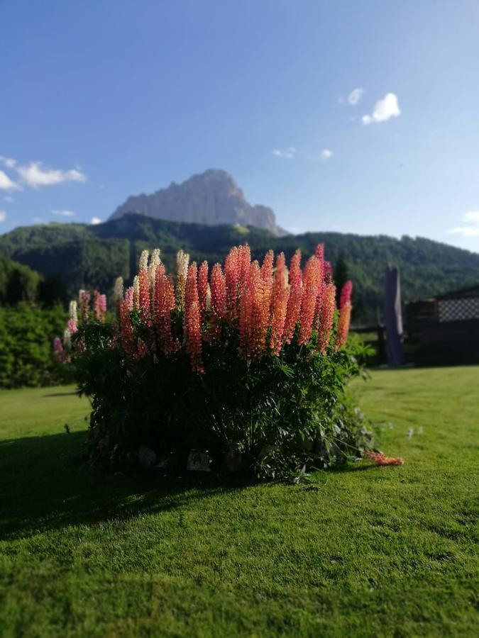 Apartamento Cedepuent de Sot Selva di Val Gardena Exterior foto